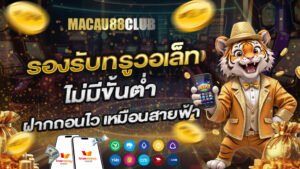 รองรับทรูวอเล็ท ไม่มีขั้นต่ำ ฝากถอนไว เหมือนสายฟ้า